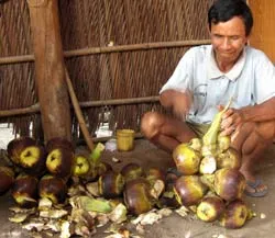 Vươn lên trong bóng tối