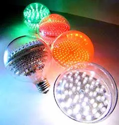 7 tuổi muốn lên đỉnh Kilimanjaro ảnh 2