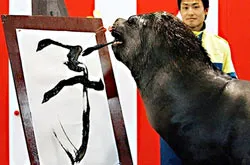 Đười ươi già nhất thế giới qua đời ảnh 4