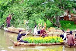 Rộn ràng sắc xuân làng hoa Sa Đéc