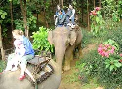 10 sự kiện du lịch 2007 ảnh 2