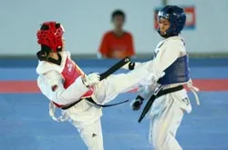 HLV trưởng ĐT Taekwondo Việt Nam Nguyễn Đăng Khánh: “Giành huy chương Olympic không phải bất khả thi” ảnh 1