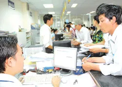 Từ ngày 1-4-2008, sẽ hợp nhất mã số doanh nghiệp