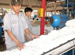 Tìm thương hiệu cho cao su Việt Nam