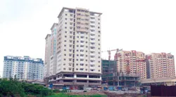 Nông dân bán đất, về đâu?