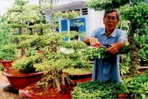 Xuân sớm trên đất chín rồng