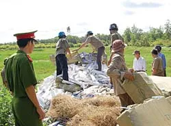 Thủy sản Bình An, nhà phân phối độc quyền cho Tập đoàn Lubbert ảnh 3