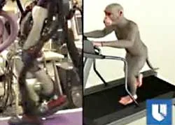 Nguy cơ lây cúm gia cầm từ tiền giấy ảnh 2