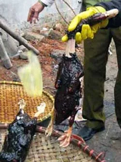 Xứ Lạng : Vịt quay “tắm”... hóa chất ảnh 2
