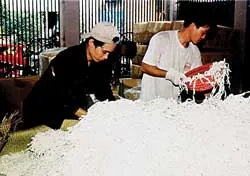 Mứt dừa đi xa…