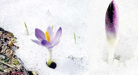 Những mảng êm hồi tưởng