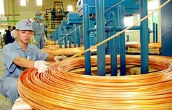 Cần định hướng đầu tư vào lĩnh vực ưu tiên