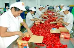 Các doanh nghiệp chủ lực cam kết bình ổn giá trong dịp tết