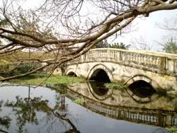 Góc ảnh đẹp ảnh 2