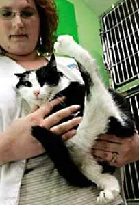 Xin lỗi cặp tình nhân bị quay lén ảnh 2