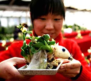 Chào chú Tý! ảnh 6