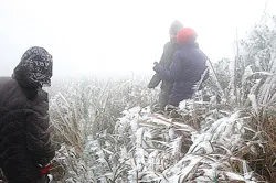 Tuyết rơi trên đỉnh Mẫu Sơn