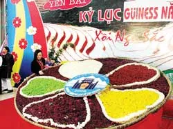 Yên Bái: Đăng ký kỷ lục Guinness xôi ngũ sắc