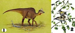 Phát hiện hóa thạch các loài khủng long lạ