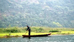 Chùa Hương: Cò lượn trắng suối Yến