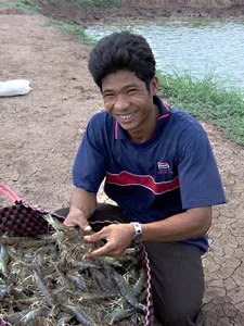 Đánh thức cánh đồng hoang ảnh 2