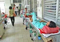 Sống tạm ở bệnh viện