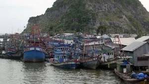 Điên đầu vì… giá