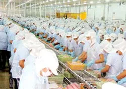 Đồng bằng sông Cửu Long: Chạy đua xây nhà máy chế biến thủy sản