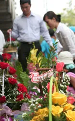 "Sốt" hoa hồng cho Ngày 8-3