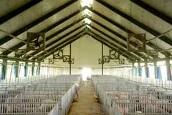 Cơ sở an toàn dịch bệnh gia súc - Bước đi đầu tiên