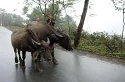 Bài 1: Mang nắng ấm phương Nam đến Tây Bắc