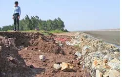 Trà Vinh: Đê biển kêu cứu!