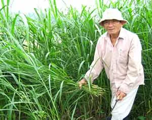 Chuyện cuối đời của Anh hùng Hồ Giáo