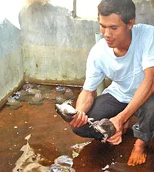 “Vua ếch - 8X”