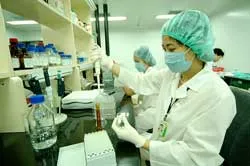 Nghiên cứu sản xuất vaccine H5N1 cho người ở Việt Nam: Chặng đường dài sắp đến đích