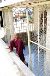 Thiệt hại ai giải quyết? ảnh 2