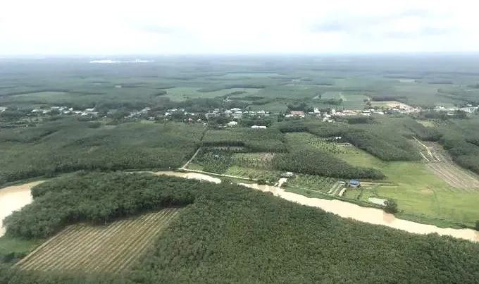 Một góc rừng ngập mặn Cần Giờ. Ảnh: Quốc Hùng