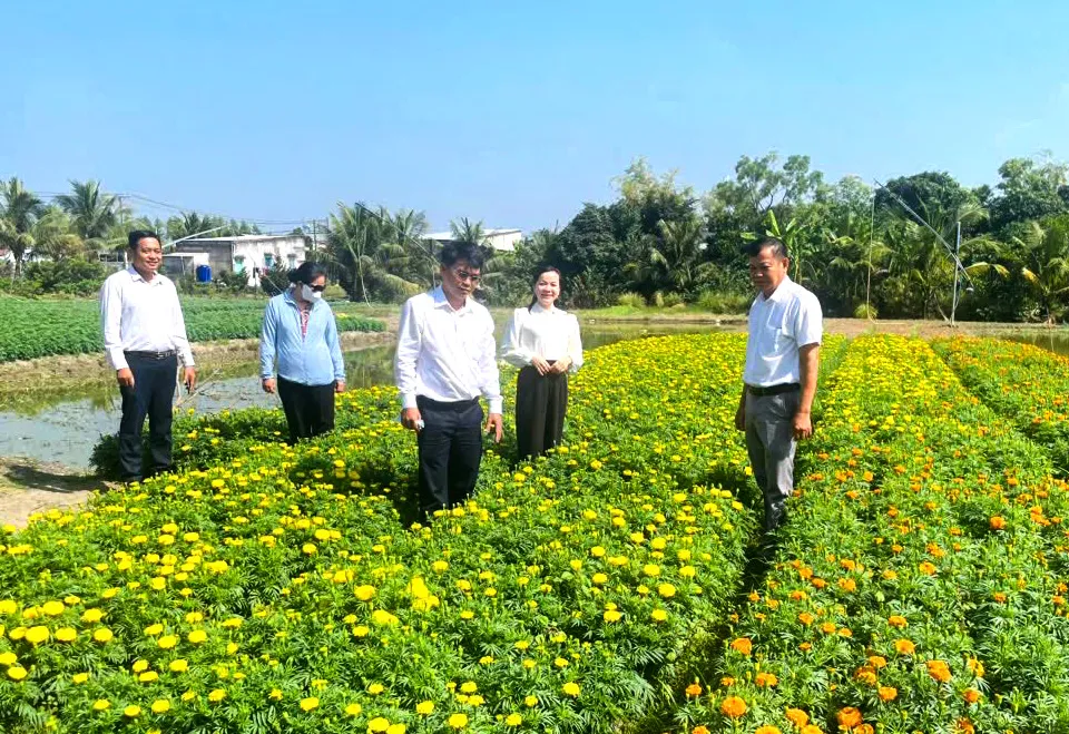 616846215-1177839754413146-6896881967811196248-n-9034-415 (1).jpg