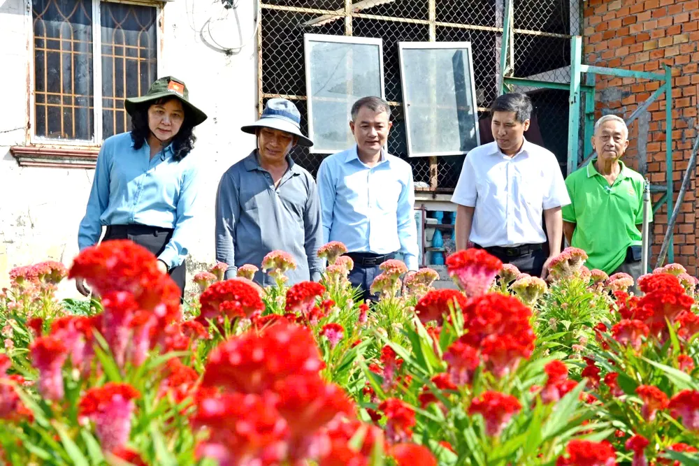 Nông dân xã Tân Nhựt tất bật vào vụ tết 