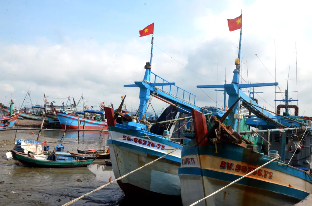 Phường Vũng Tàu: Tăng cường kiểm tra các tàu cá không đủ điều kiện hoạt động