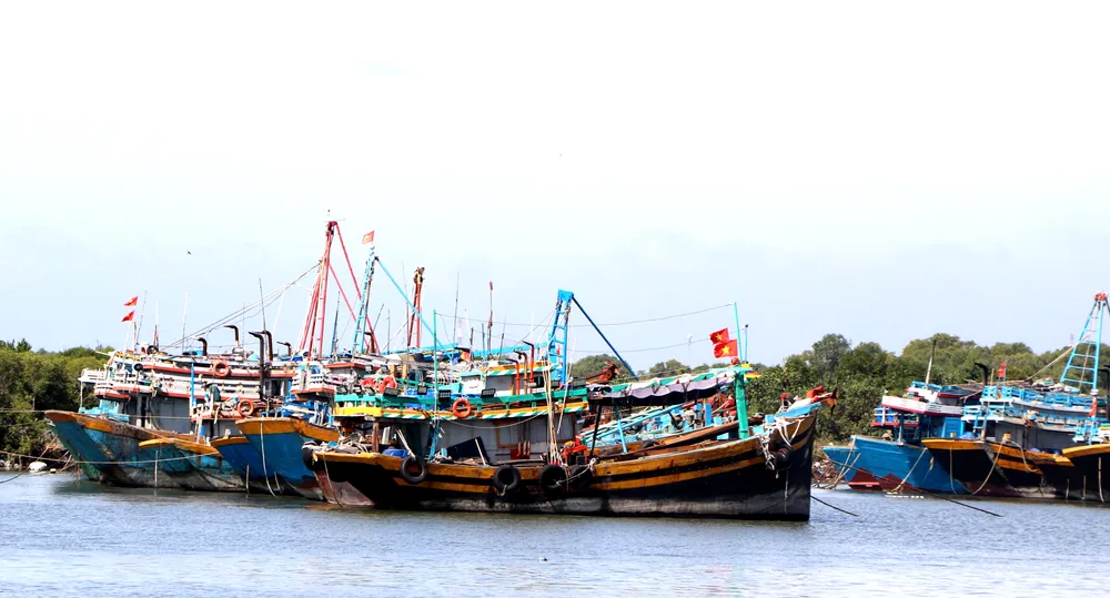 Xã Long Hải là địa phương có nhiều tàu cá không đủ điều kiện hoạt động