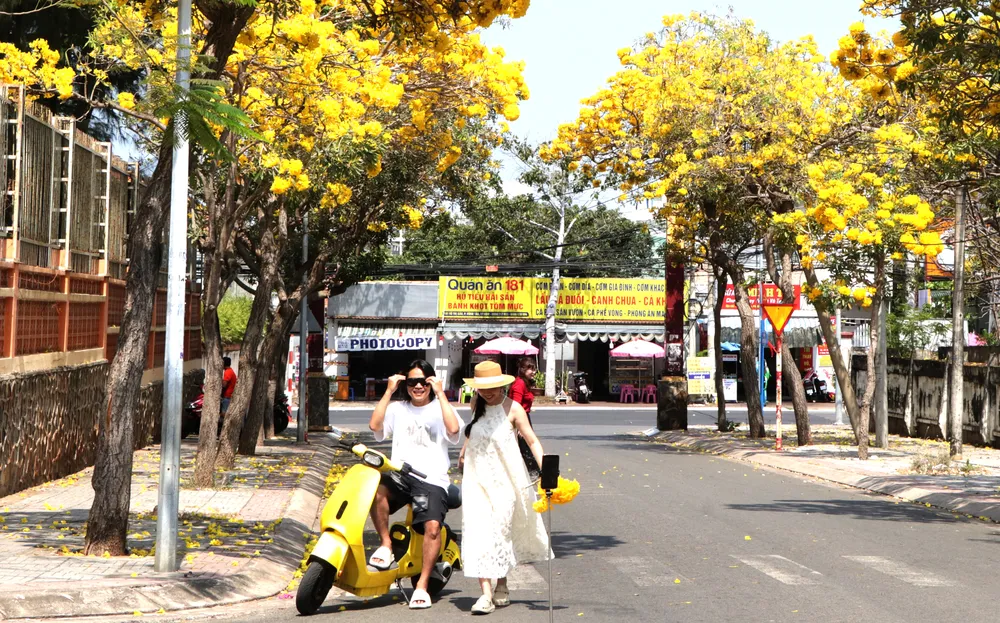  Tập trung xây dựng hình ảnh phường Vũng Tàu văn minh, thân thiện