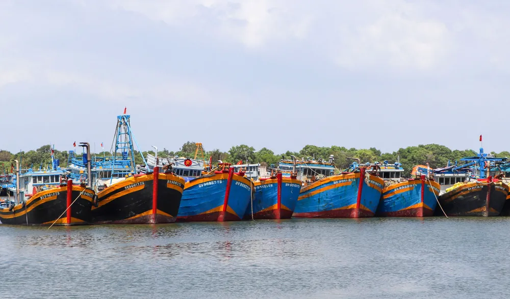 Xã Long Hải có 34 tàu cá bắt buộc áp dụng nhật ký khai thác điện tử từ ngày 1-7