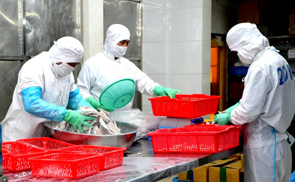 Công nhân Công ty CP Chế biến Xuất nhập khẩu thuỷ sản Basefood (TPHCM) đang chế biến thủy sản. Ảnh Thành Huy