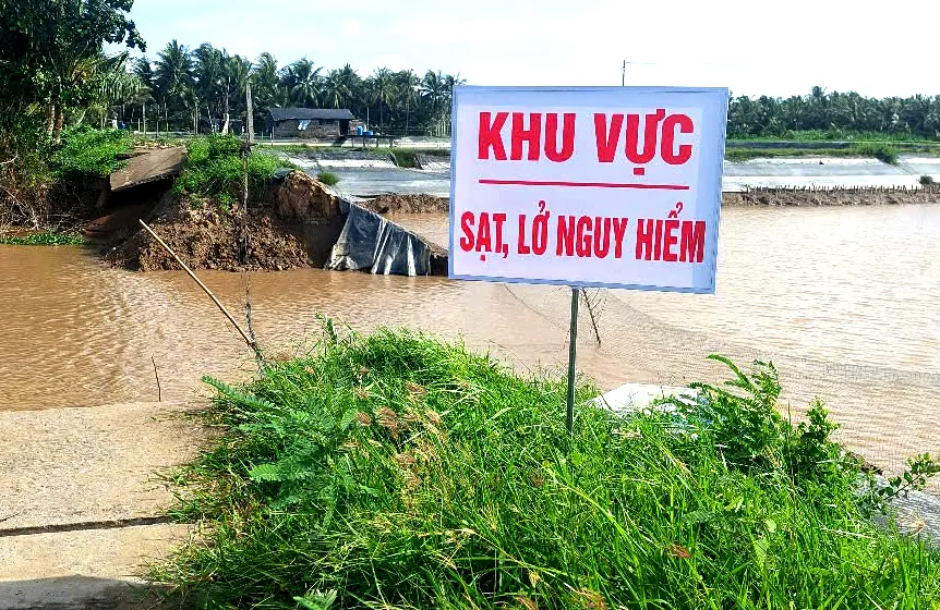 Vĩnh Long ghi nhận 166 điểm sạt lở từ đầu năm đến nay. Ảnh: TÍN HUY