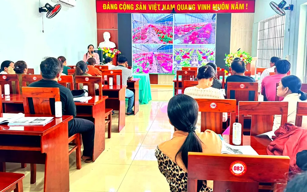 Nông dân xã Bình Giã tập huấn kỹ thuật “Trồng, chăm sóc vườn hoa Tết”