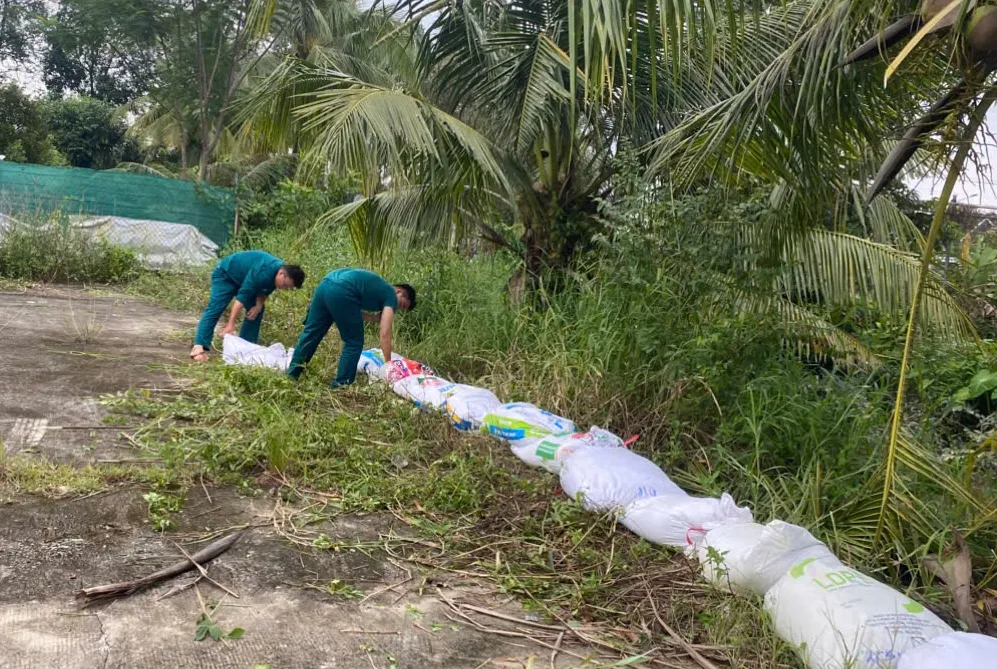 Hàng trăm bao cát được be bờ, chủ động phòng chống ngập úng do triều cường