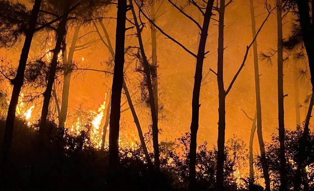 527643750_1287391366339006_459271243716829986_n (1).jpg