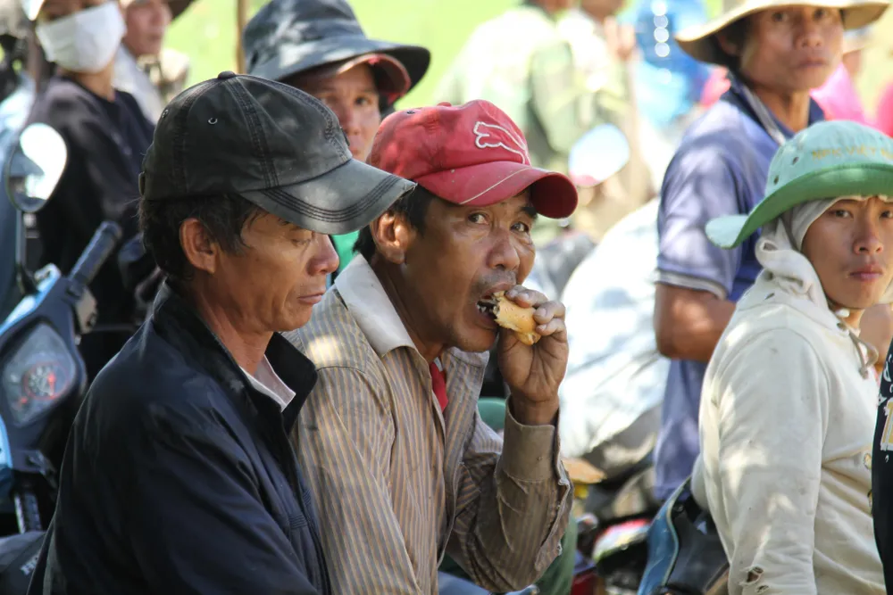 Đắk Lắk: Gồng mình đắp đê cứu hơn 1.000ha lúa ảnh 9