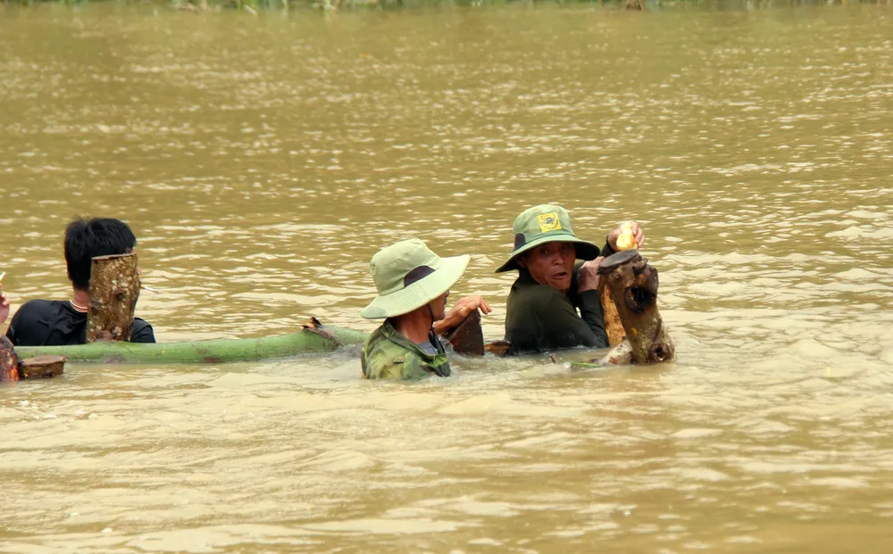 Vỡ đê, hàng trăm người dân trầm mình cứu lúa ảnh 8